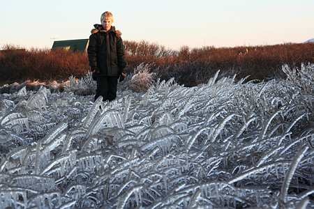 A boy looking at frozen reed.