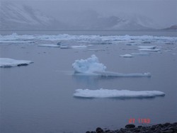 Hafís í Dýrafirði í lok janúar 2007.